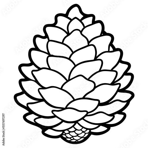 Botanical Pine Cone Line Drawing Vector