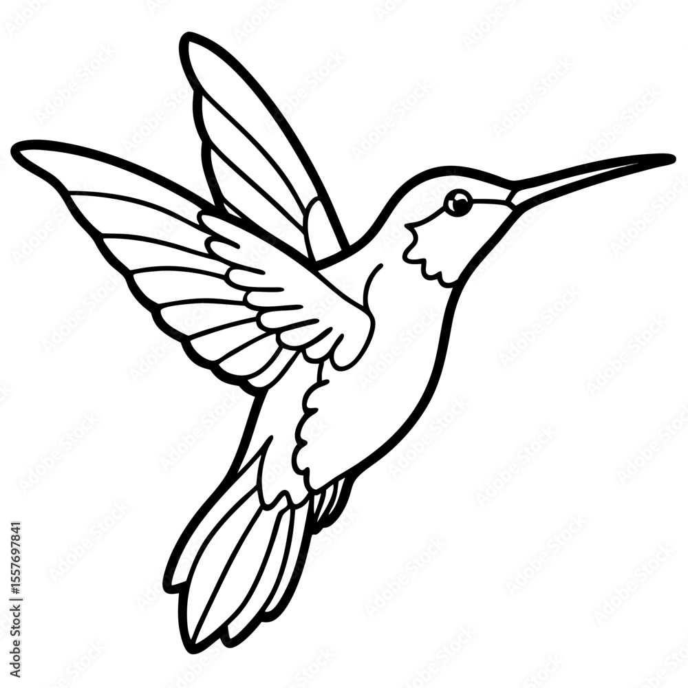 Fototapeta premium hummingbird---tiny-shape---wings-and-beak---finali