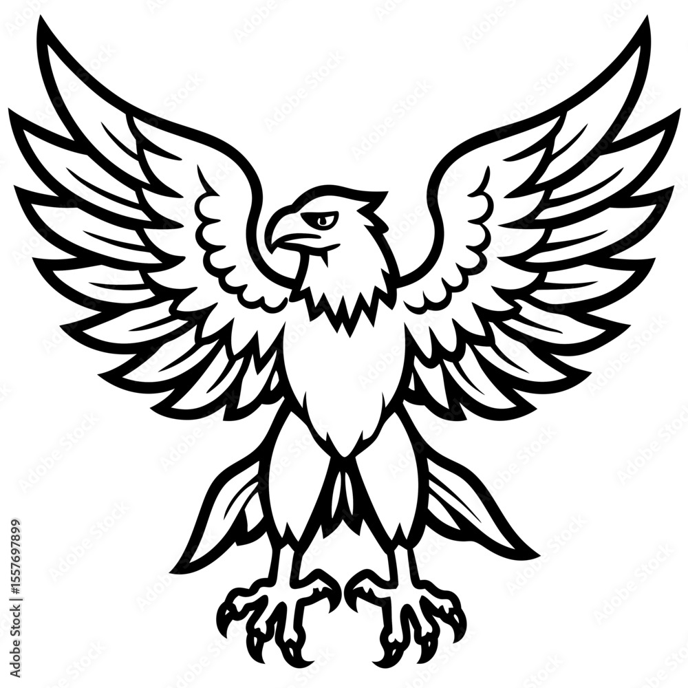 Fototapeta premium eagle---wings-spread---claws-and-beak---finish-hea