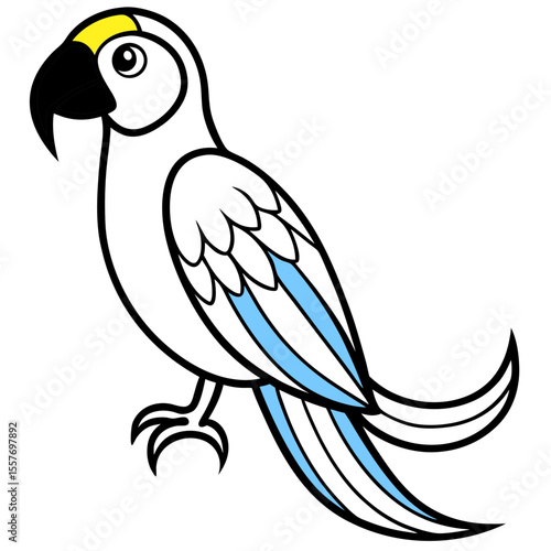 parrot---curved-beak---feathers---colorful-tail