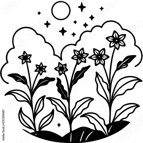  flowers-in-a-morning-mist--dreamy