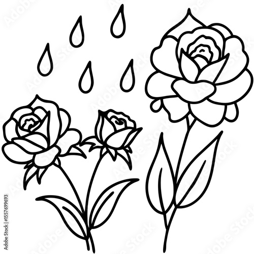 rain-kissed-flowers-after-monsoon-rain