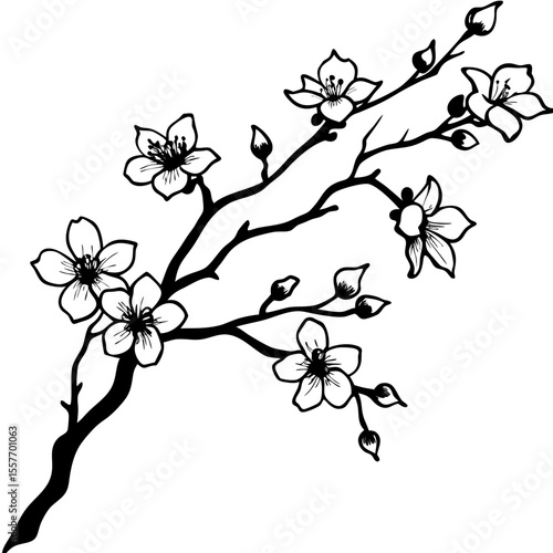 delicate-cherry-blossoms-branch--ink-wash-painting