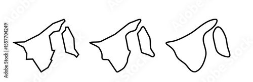 Brunei country black outline silhouettes in three different levels of smoothness. Simplified maps. Vector icons isolated on white background.