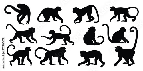 Jungle Animal Silhouette Collection Monkey Poses for design elements On White Background
