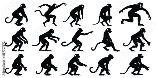 Set of Black Monkey Silhouettes, Isolated wild animal shapes and icons On White Background
