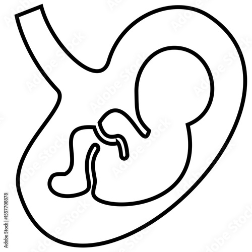 Line icon of fetus in the womb, visualized in a simplified and iconic form of fetal health, pregnancy, baby development in the womb, or prenatal care
