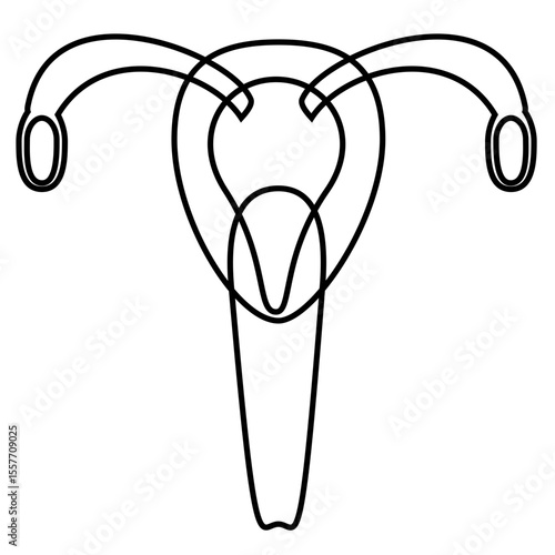 black outline uterus anatomy clip art preview