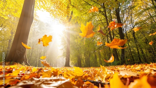 Golden Sunbeams Pierce Through Autumn Forest Canopy Onto Falling Leaves