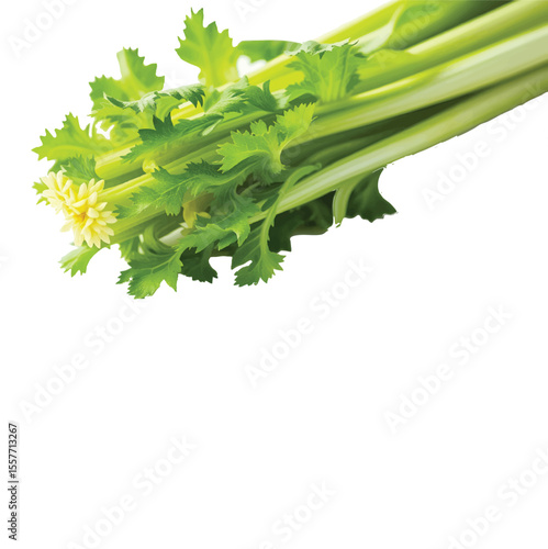 bunch of fresh parsley