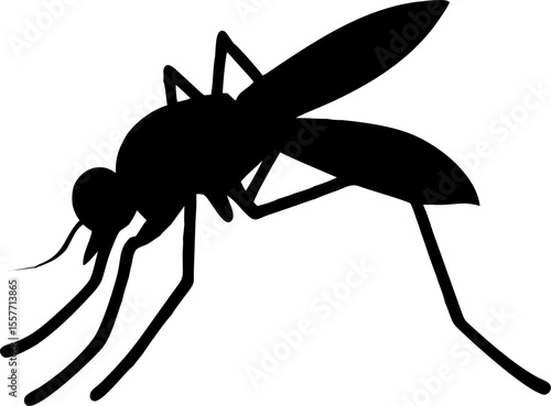 Macro closeup of an isolated black mosquito sucking blood, and a black spider, both tiny insect pests