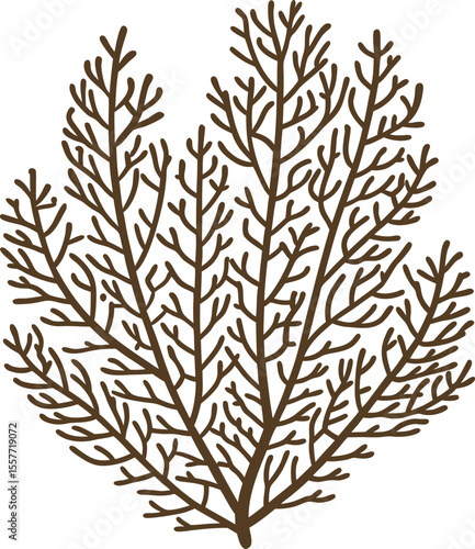 Sea fan coral illustration, organic marine plant silhouette, abstract ocean branch, hand drawn aquatic decor