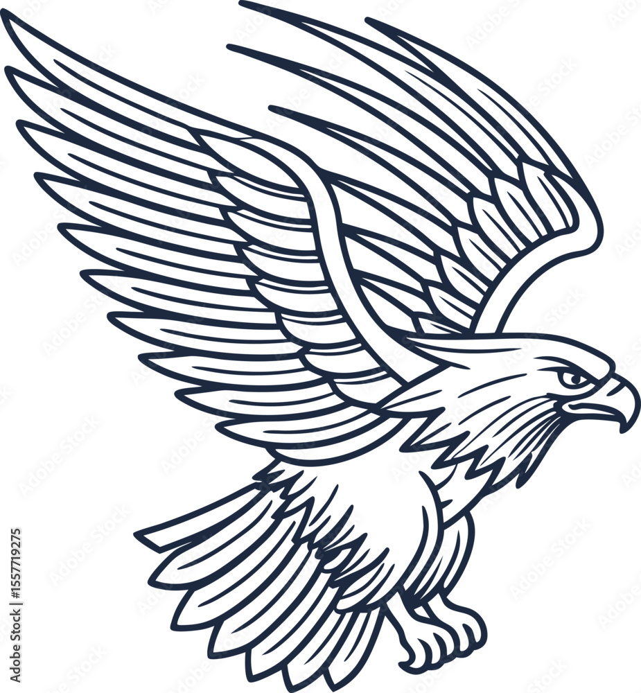Obraz premium Majestic eagle in flight sketch detailed line art illustration of soaring bird of prey with outstretched wings