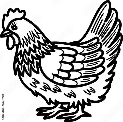 Hen standing upright hand drawn black and white illustration of a farm chicken with detailed feathers and comb