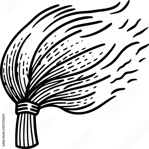 Hand drawn whisk broom with sweeping bristles traditional cleaning tool illustration, vintage line art drawing