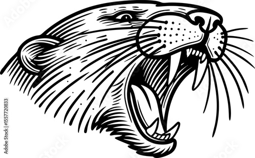 Saber toothed cat head roaring, detailed black and white line art illustration of prehistoric predator