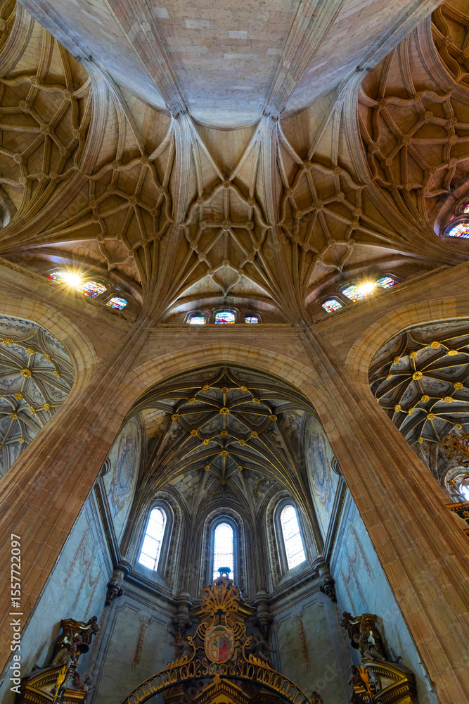 Fototapeta premium Interior details of the Gothic Cathedral of Segovia. Province of Segovia. Autonomous Community of Castile and Leon. Spain. Europe