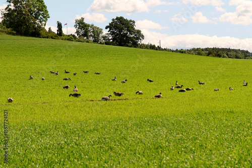 Photography Landscape