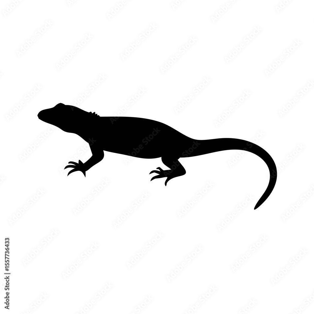 Fototapeta premium Sand lizard silhouette in black and white flat vector illustration on white background
