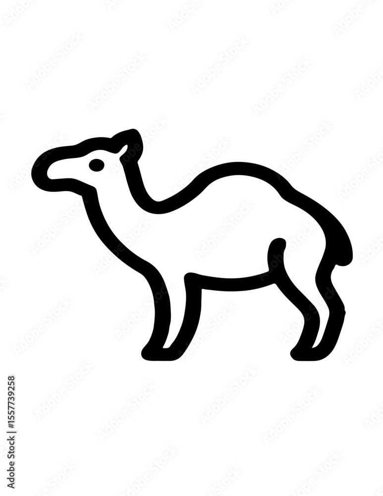 Fototapeta premium camel