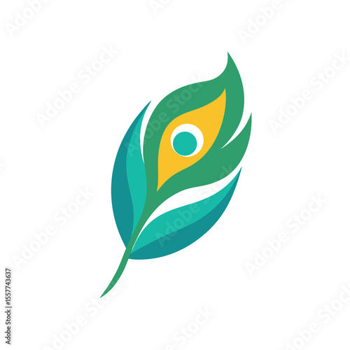 Colorful Peacock Feather Design