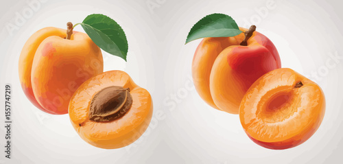 Two whole ripe apricots and one halved apricot with stone and leaf