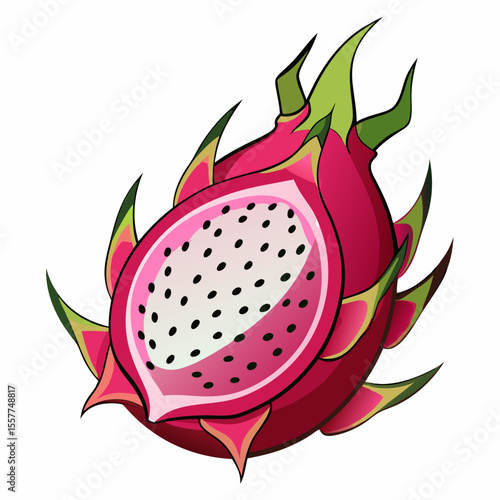 vector illustration of an apple