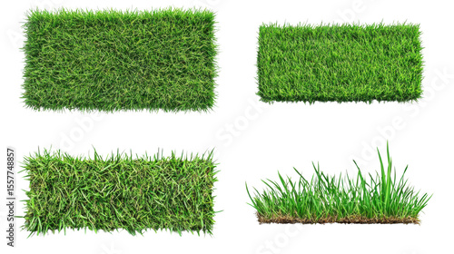 set of grass on white background