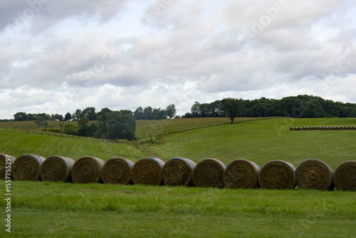 hay bales in a field