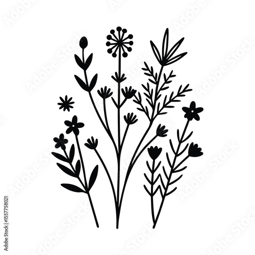Botanical illustration set delicate line art of assorted plants Vector illustration