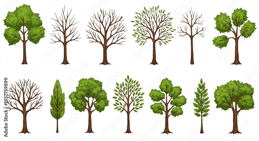Fototapeta premium Set of isolated green trees with leaves and branches