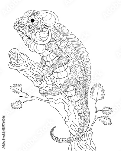 Vector illustration of black and white image of chameleon on the tree. Hand drawn in zentangle style for t-shirt design or tattoo. anti stress coloring page with wildlife.