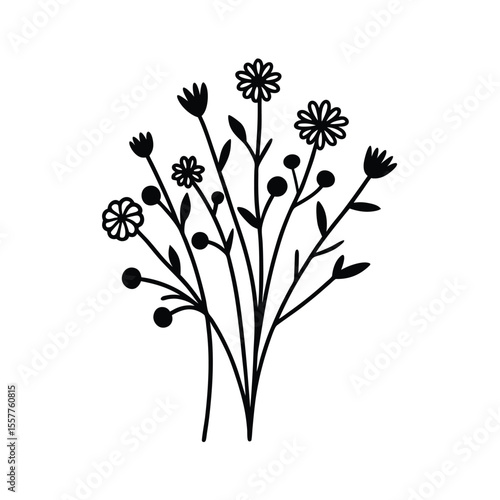 Wildflower bunch illustration set delicate line drawings of assorted flowers Vector illustration