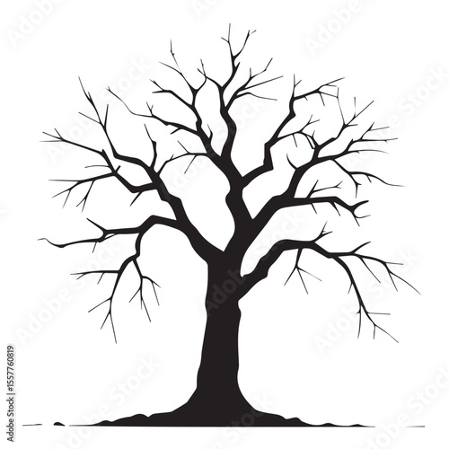 Silhouette of a bare deciduous tree with intricate branches against a white background
