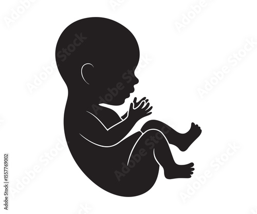 Black silhouette of a human fetus curled up in a womb on a white background