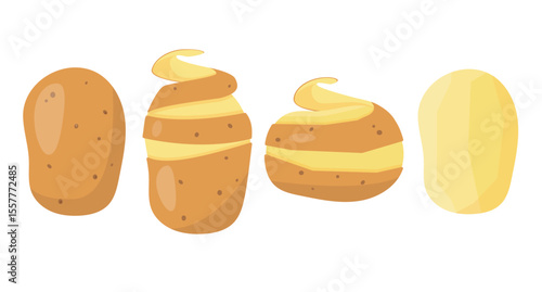 Fresh potato in skins and peeled. Whole organic potatoes tubers cook ingredients. Organic healthy vegetarian food. Vector icon illustration isolated on white background.
