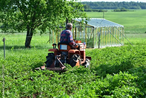 Senior farmer on compact orange tractor cultivating crops in lush green field. Summer agricultural work in rural area. Scene of tradition, labor, and nature. no face