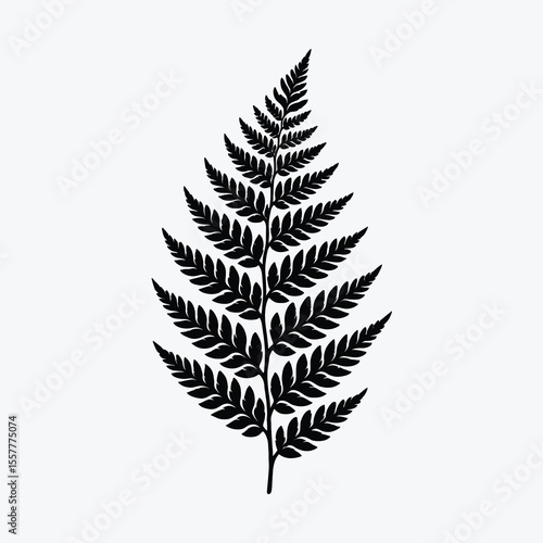 fern-leaf-silhouette-black-and-white-vector
