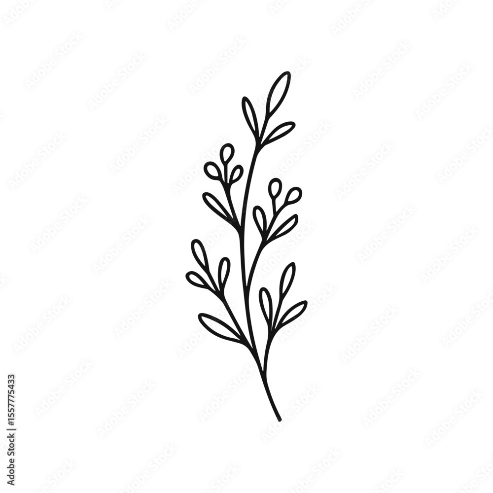 Obraz premium Vector graphic of a delicate branch, clean contour lines, elegant and understated, suitable for logos, stationery, or eco-friendly branding wildflower-sprig-outline-hand-drawn-vector