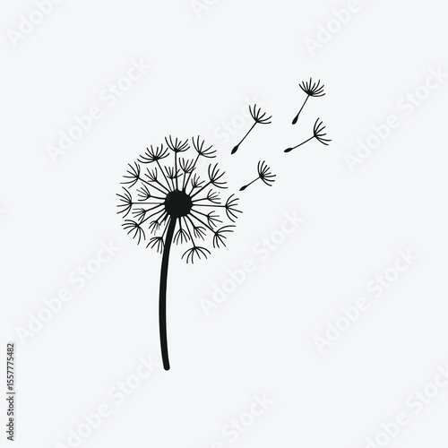 Vector silhouette of a dandelion in bloom, with seeds blowing away, black and white, minimalist style, isolated on white background, clean lines, representing wish or freedom.