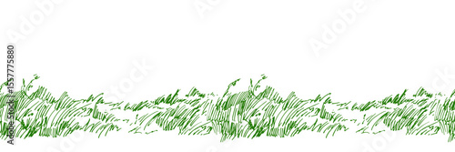 Hand drawn vector illustration. Seamless pattern with playful liner texture. Grass field. Horizontal doodle illustration. Trendy background for design and decoration.