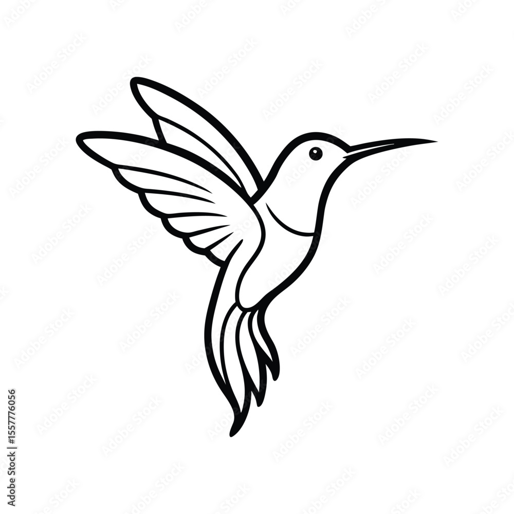Obraz premium hummingbird line art on white background