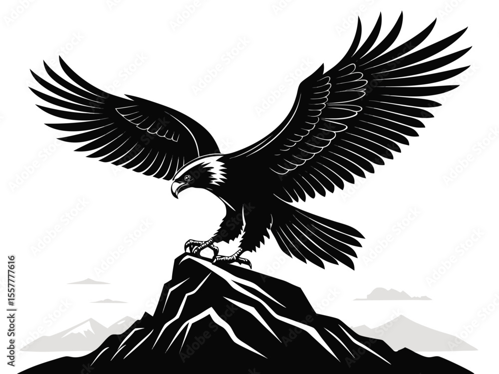 Obraz premium bald eagle in flight