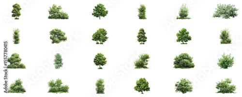 Diverse Green Trees And Bushes In Digital Vector Style. Landscape Architecture And Environmental Design Elements Collection. Isolated Vector Illustration