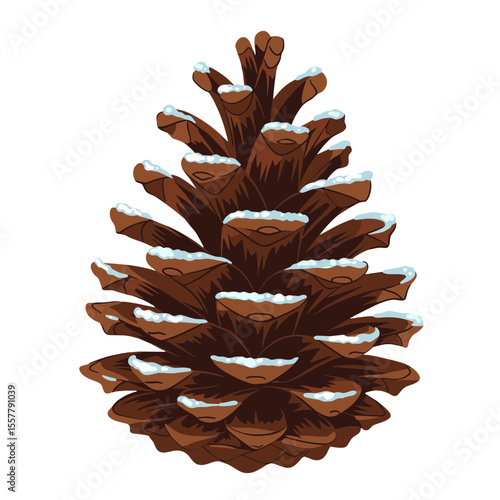 Illustration of a pine cone with snow on its scales isolated on a white background in great detail