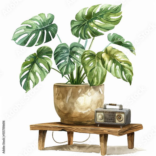 Postcard houseplant monstera on the table and radio