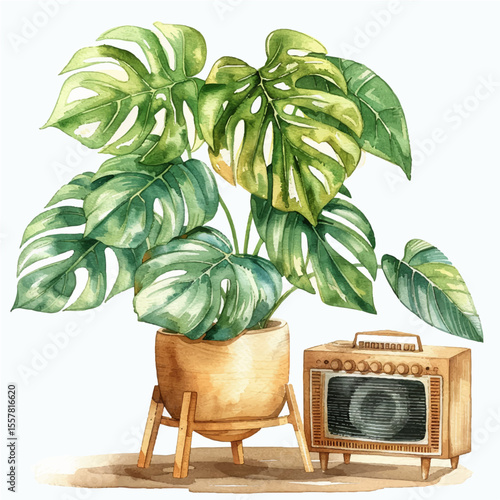 Postcard houseplant monstera on the table and radio