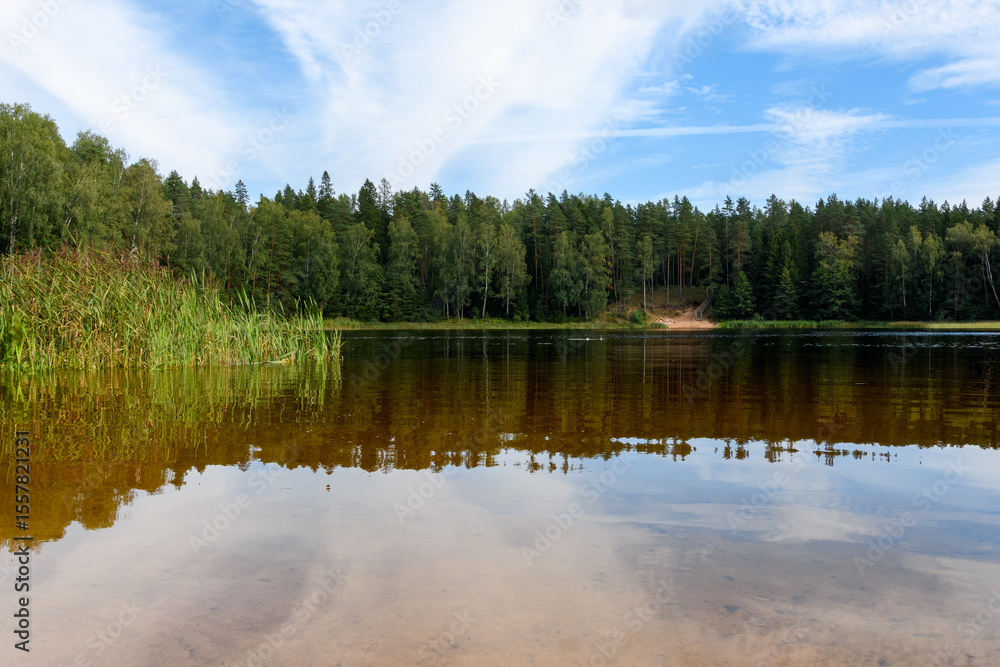 Obraz premium Forest lake Rääkjärv (Vasavere, Estonia) in the late afternoon of mid-August. Lush green trees and reeds reflect on the calm water, with a family visible on a small sandy beach on the opposite shore.