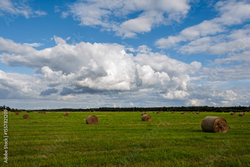 Golden hour illuminates a vast green field dotted with hay bales under a bright blue sky with dramatic clouds, near Sinimäe, Estonia, in late July.
