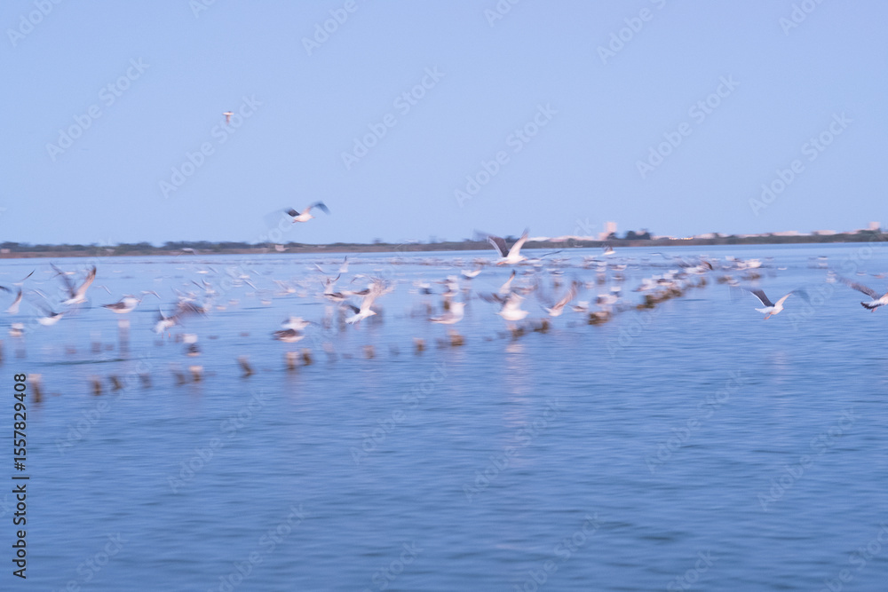 Fototapeta premium Animals trapped in a zoo